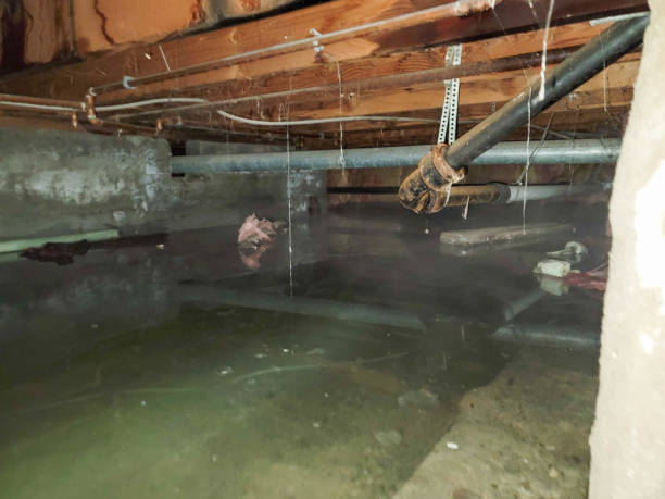 Best Water damage restoration near me  in Vinton, TX