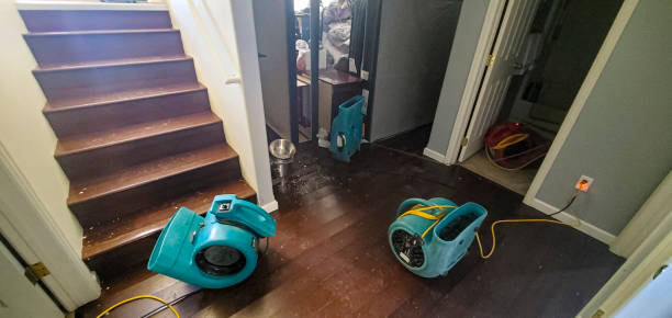 Best Water damage mitigation services  in Vinton, TX