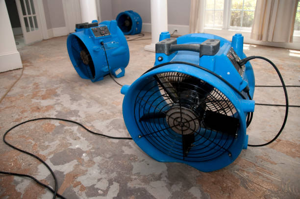 Best Professional water damage repair  in Vinton, TX