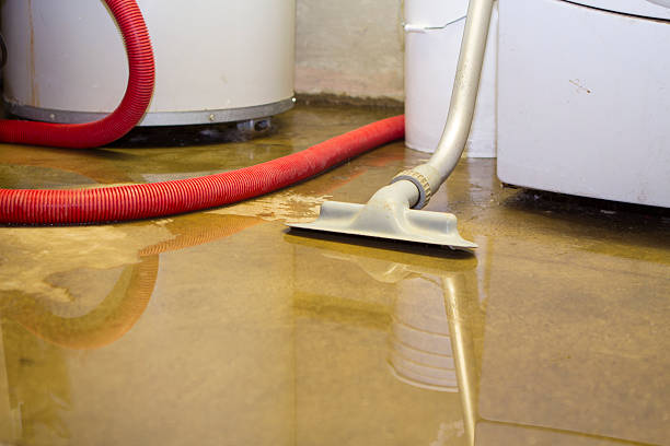 Best Water damage contractors near me  in Vinton, TX