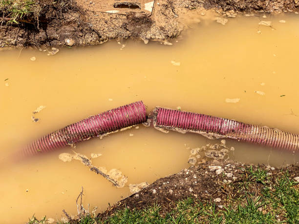 Best Sewage cleanup and water damage restoration  in Vinton, TX