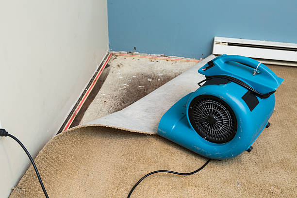 Best Fire Damage Restoration  in Vinton, TX